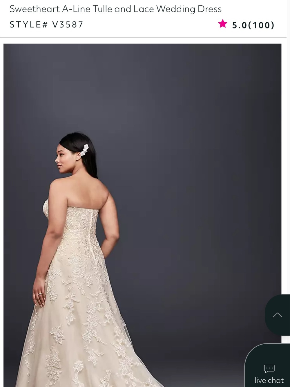David's Bridal Ivory/Champagne Bridal Gown - Picture 11 of 11